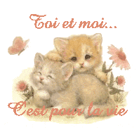 pour la vie 